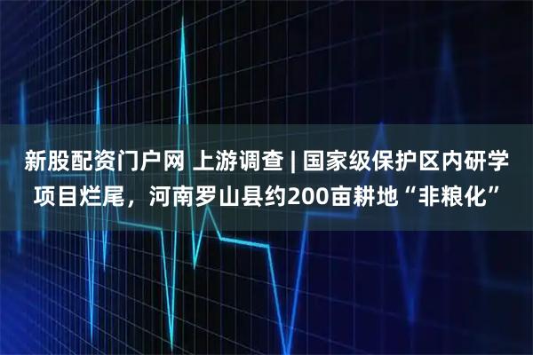 新股配资门户网 上游调查 | 国家级保护区内研学项目烂尾，河南罗山县约200亩耕地“非粮化”