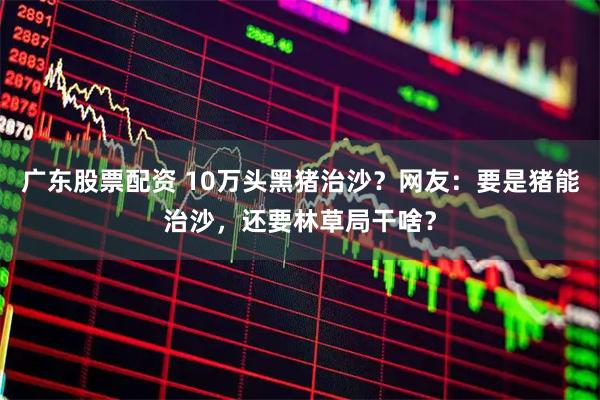 广东股票配资 10万头黑猪治沙？网友：要是猪能治沙，还要林草局干啥？